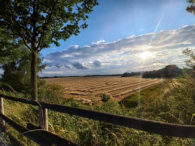 Foto des Monats&nbsp;&copy;&nbsp;Stadtmarketing Hörstel UG