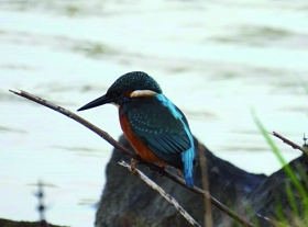 Foto des Monats&nbsp;&copy;&nbsp;Michael Grüter