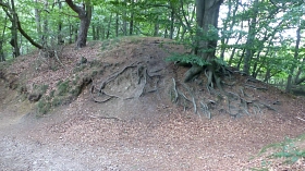 Huckbergtour&nbsp;&copy;&nbsp;Dr. Klaus Offenberg