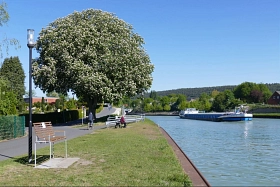 Kastanienbaum Gelsbach&nbsp;&copy;&nbsp;Heimatverein Riesenbeck e.V.- Fotogruppe