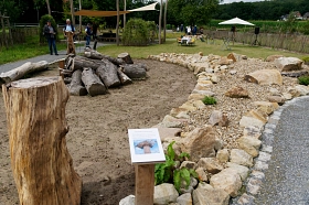 Lehrgarten Hof Lammers&nbsp;&copy;&nbsp;Heimatverein Riesenbeck e.V. - Fotogruppe