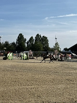 Riesenbeck International&nbsp;&copy;&nbsp;Stadtmarketing Hörstel UG