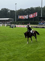Riesenbeck International&nbsp;&copy;&nbsp;Stadtmarketing Hörstel UG