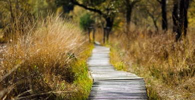 Wandern